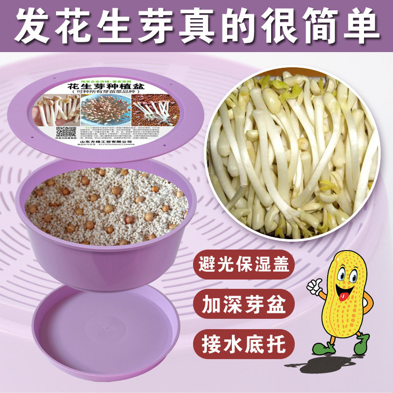 Peanut Bud peanut seed sprout vegetable planting basin Hydroponic sprouts bean sprouts large seedling plate factory direct sales