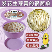 Peanut Bud peanut seed sprout vegetable planting basin Hydroponic sprouts bean sprouts large seedling plate factory direct sales