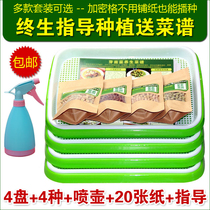 Aijia vegetable garden bean sprouts nursery plate wheat seedling seed sprouts planting plate soilless cultivation hydroponic vegetable rack