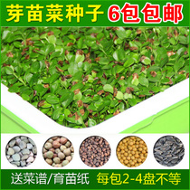 Explosive soilless sprouts seed Hydroponic sprouts oil pea wheatgrass water spinach sinensis vegetables