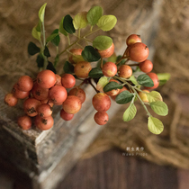 Cute sweet autumn pink short branch bean berries simulation flower pastoral style newborn photography photo small flower arrangement beanie