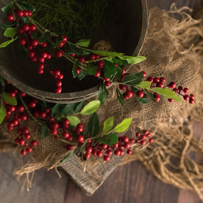 Long branch cute red, blue, white and green berry Fujimori simulation flower newborn photography photo props flower arrangement decoration