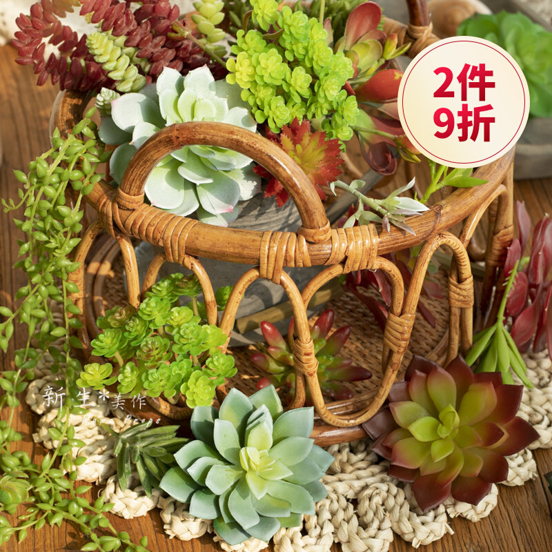 Simulation cute succulent plant lover tears pineapple grass micro-landscape layout photo creative DIY home decoration