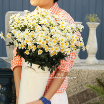 Yangfang simulation chamomile fake flower small Daisy living room ornaments hipster flower arrangement restaurant home accessories flower art high