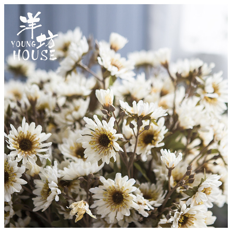 Oil painting small daisy to beam emulated orange colour small wild flower white wild chamomile boilerplate home fake floral art suit