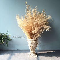 Yangfang Hay decoration dried flower bouquet lover grass ins beige air dried Korean home living room flower arrangement