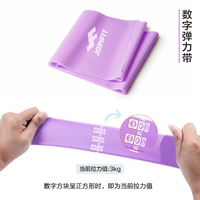 2M Цифровая версия (Clove Purple 15 фунтов)