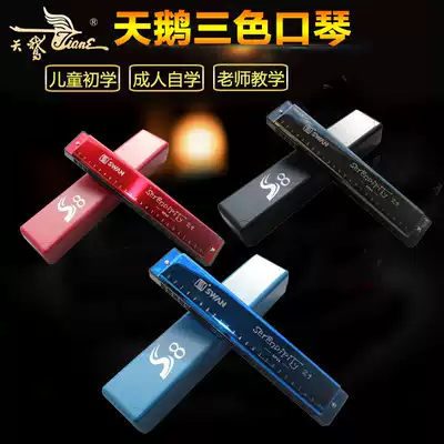 Swan 24-hole polyphonic harmonica three-color optional gift