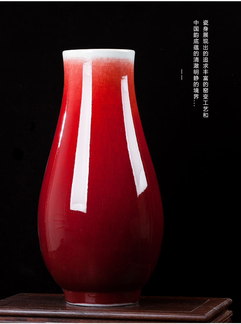 Jingdezhen ceramics of large vase furnishing articles furnishing articles flower arranging device youligong red wine sitting room adornment household