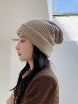 Japanese Rosex hat female Korean autumn and winter knitted hat trend wild warm Joker cold hat wool hat