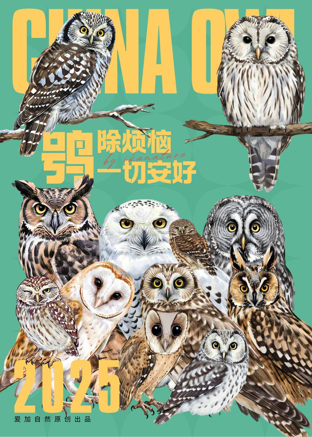 在线等这是什么鸟？_搜狐网, image size:1181x1654