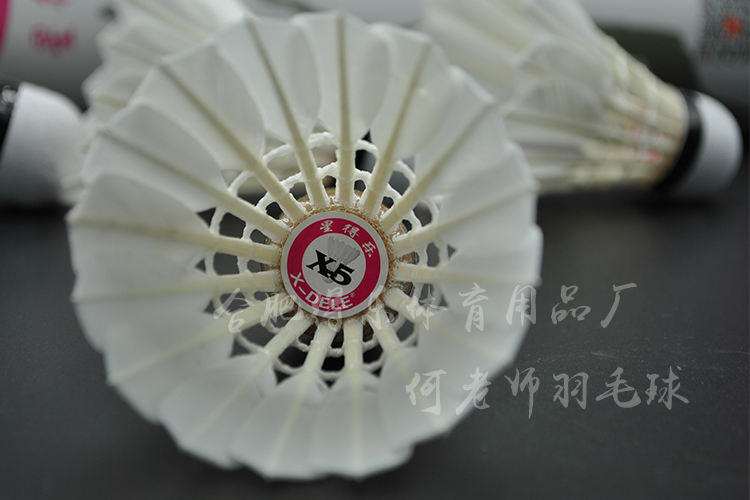 Cửa hàng chính hãng X-DELE Star Dale cầu lông X5 kháng chiến để chơi trò chơi vua đào tạo ngỗng lông bóng cho học sinh vợt đánh cầu lông