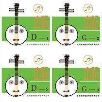 Xinghai Gospel popularizes Zhongguangxian string Zhongruan string 1 string