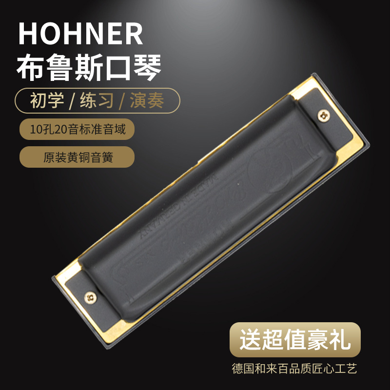 Germany HOHNER and Come 100 holes Senior Adult Professional Blues harmonica Pro Harp SP20 Upgrade