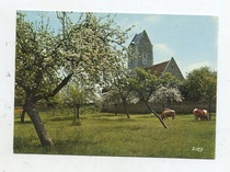 france blank old postcard normandie spring flower tree old house cow