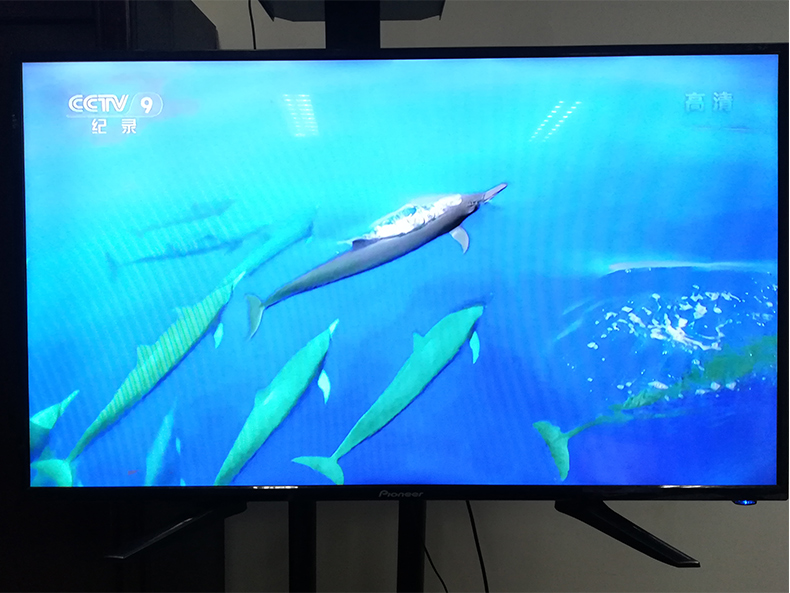 Full Netcom Magic 100 và CM101S Android IPTV HD Box 4K Player Mạng gia đình TV Set Top Box cục phát wifi 4g