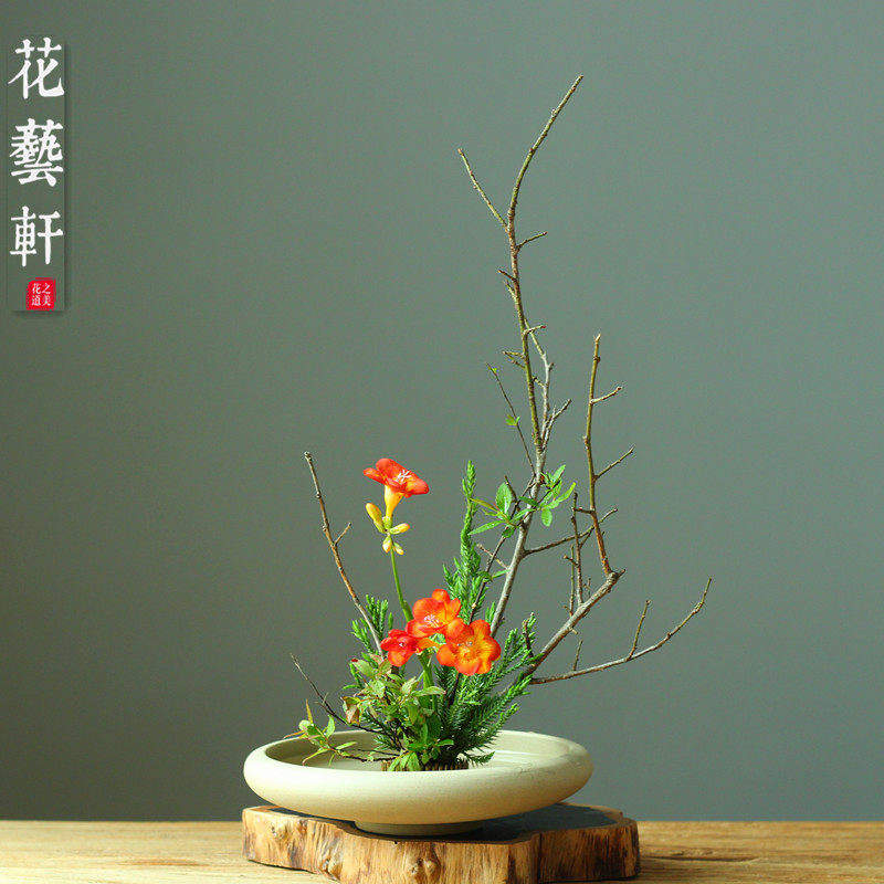 Log color, ancient style flower pot, zen flower arrangement, jianshan flower arrangement, Oriental, Chinese, Japanese flower path painting basin, hydroponics plate