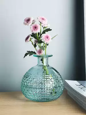 Spanish handmade glass flower arrangement bottle living room dining table decoration Nordic ins style transparent aromatherapy small vase