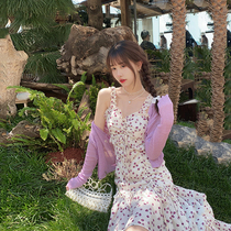 Plum cooked the art and wind V collar crushed flower drawing rope hanging with skirt woman 2022 Early spring new cashew sweaty dress