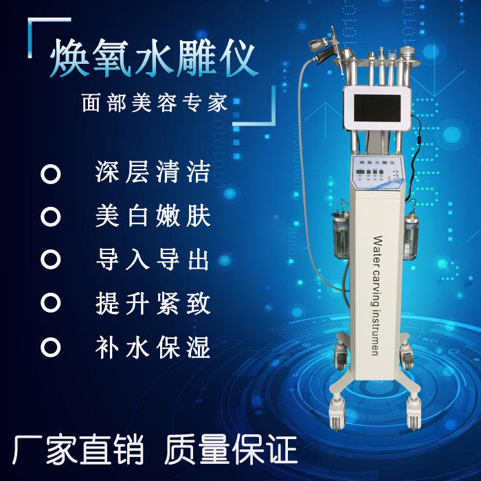 Hair skin inspector imported into beauty instrument