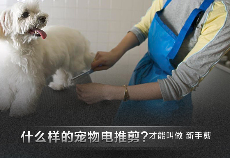 BD AIJIAN 600 Обновление 3-MAVERICKS_01.JPG