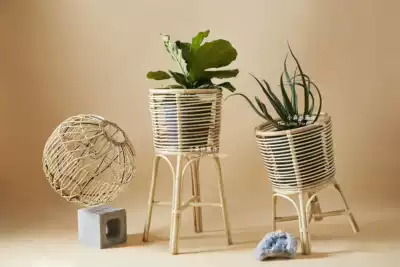 Small forest ins Nordic living room rattan flower rack shelf Floor-to-ceiling simple high-legged large basin golden ge plant flower rack