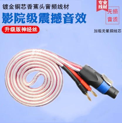 Hair Burning Grade Pure Copper Ohm Swivel Banana Head Line Four Core Kanon Plug Sound Wire Power Amplifier Stage Speaker Wire Rod