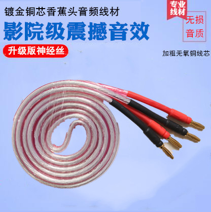 Hair Burning Grade Professional HIFI Pure Copper Banana Head Audio Sound Line Horn Line Power Amplifier Passive Speaker Connection Line