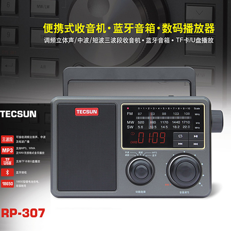 Tecsun Desheng RP-307 Portable Shortwave DSP Radio 309 Bluetooth Speaker Digital Player