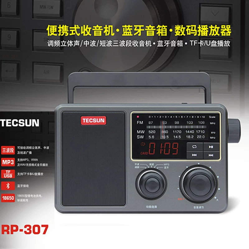Tecsun/ RP-307 портативная коротковолновая DSP-радиостанция 309 Bluetooth-динамик/цифровой плеер