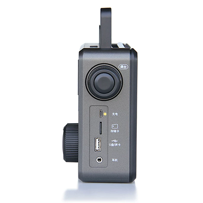 Tecsun/ RP-307 портативная коротковолновая DSP-радиостанция 309 Bluetooth-динамик/цифровой плеер