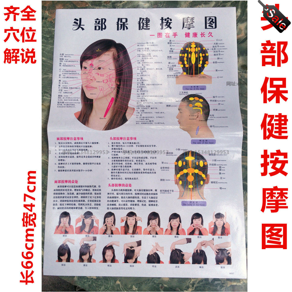 头部保健按摩挂图面部反射区按摩手法按摩穴位图脸部图经络示意图