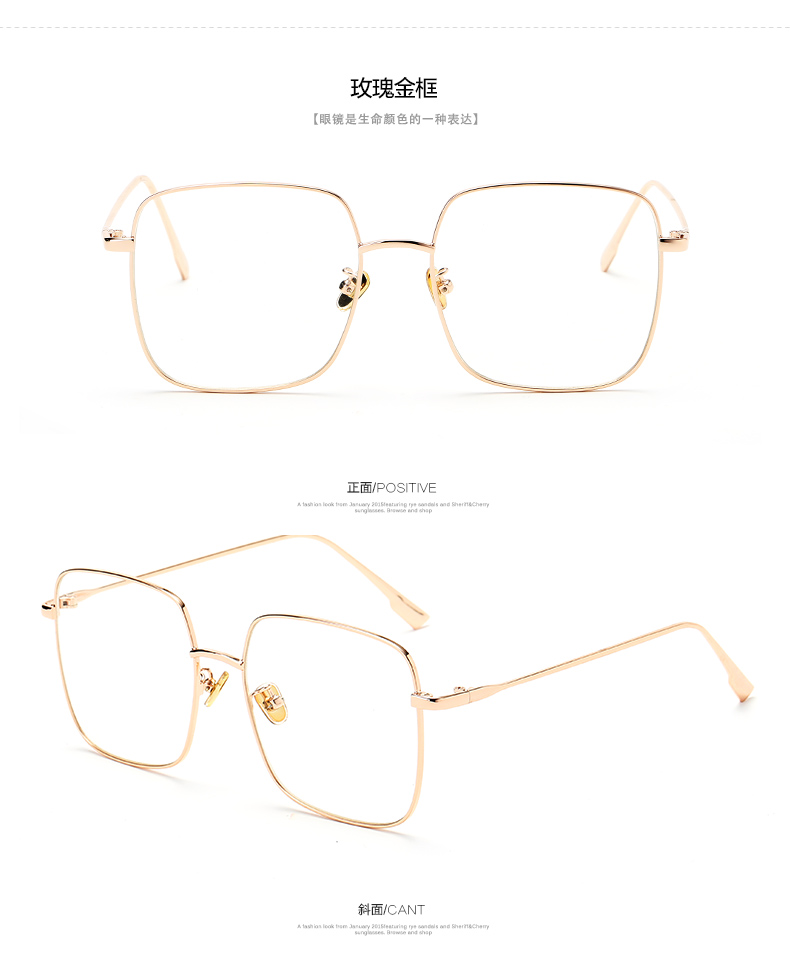 Montures de lunettes BAUHINIA    en Metal memoire - Ref 3139633 Image 15