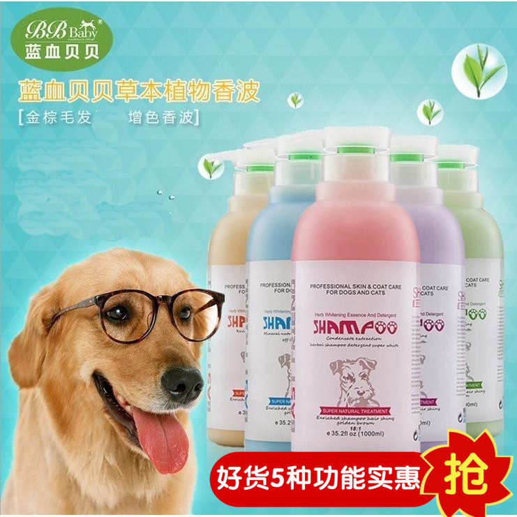 Blue Blood Babe Pet Body Wash 1000ml 500ml Herbal Fruit Deodorant Dog Shampoo Bath Bears