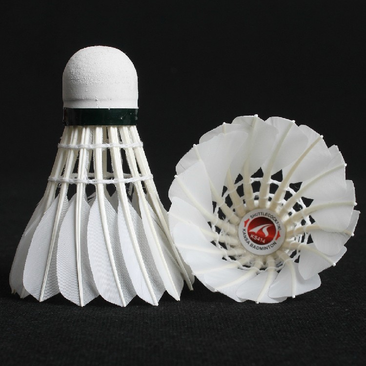 Atheistic specialties high gear 12 only loaded badminton 3 only durable training with ball school competitions available