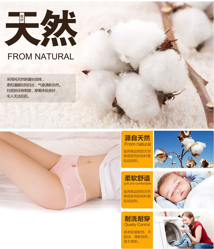 Slip en coton - Ref 646051 Image 10