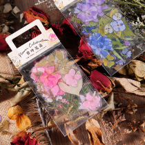 Original wild self-depth fresh and transparent PET waterproof sticker packs 40 retro plants floral handbills DIY decorative appliquations