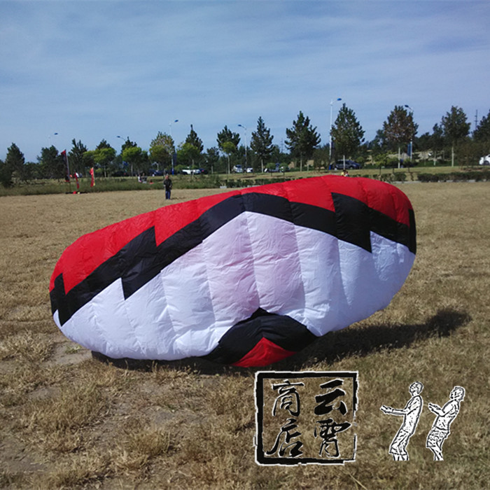 Erikson Alcosen 4 8 square meter 4 square meter traction umbrella snow jump kite spring promotion