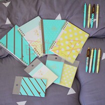 Japan Sun Star SUN-STAR Spring Summer Cool Qualifies loose-leaf This convenience post Ball pen Automatic pencil