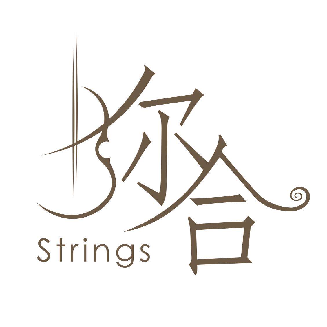 弥合弦乐琴弦企业店