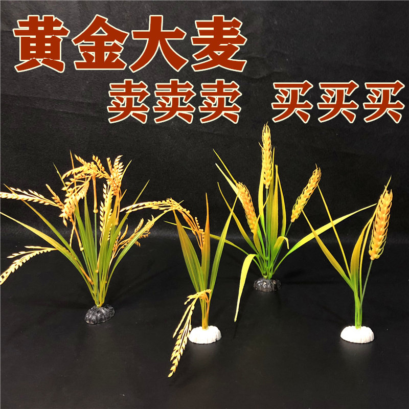 Gold barley sashimi plate decoration flowers and plants around the edge embellishment flower platter creative plate decoration artistic conception cold dishes small ornaments