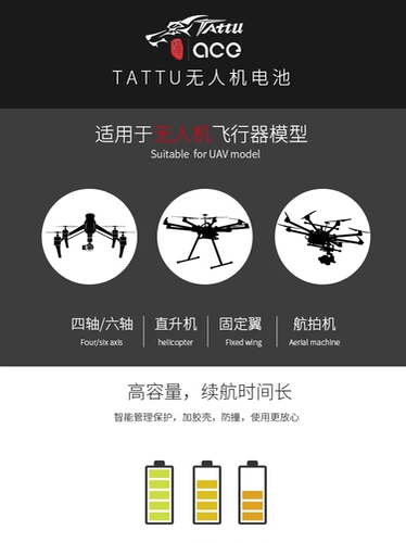 ACE格氏 8000 16000 10000 22000 12000 25000 30000 6S модель лития лития
