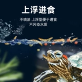 Зерновая черепаха кормить бразильские черепахи черепахи коричне