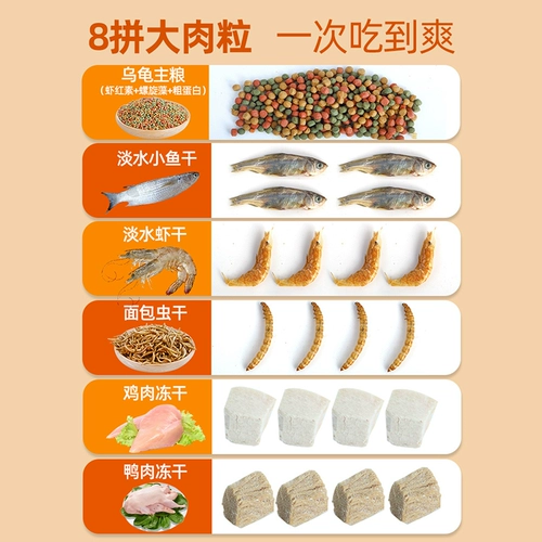 Зерновая черепаха кормить бразильские черепахи черепахи коричне