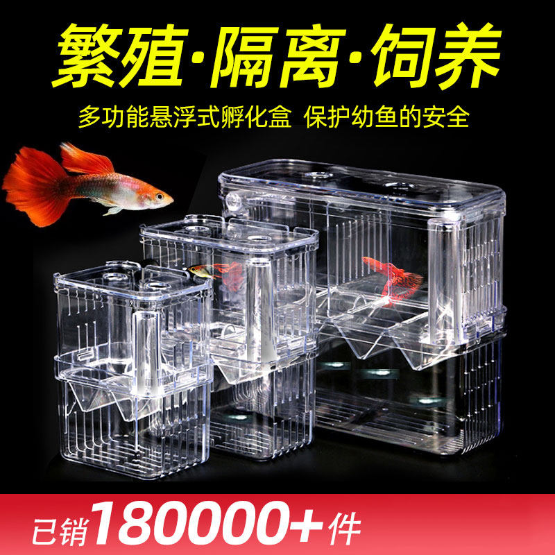 Fish tank isolation box Guppy breeding box God mother fish device Young fry Acrylic hatching suspended floating large