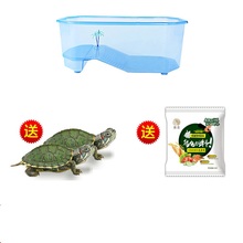 活体小乌龟+乌龟缸+龟粮+大礼包