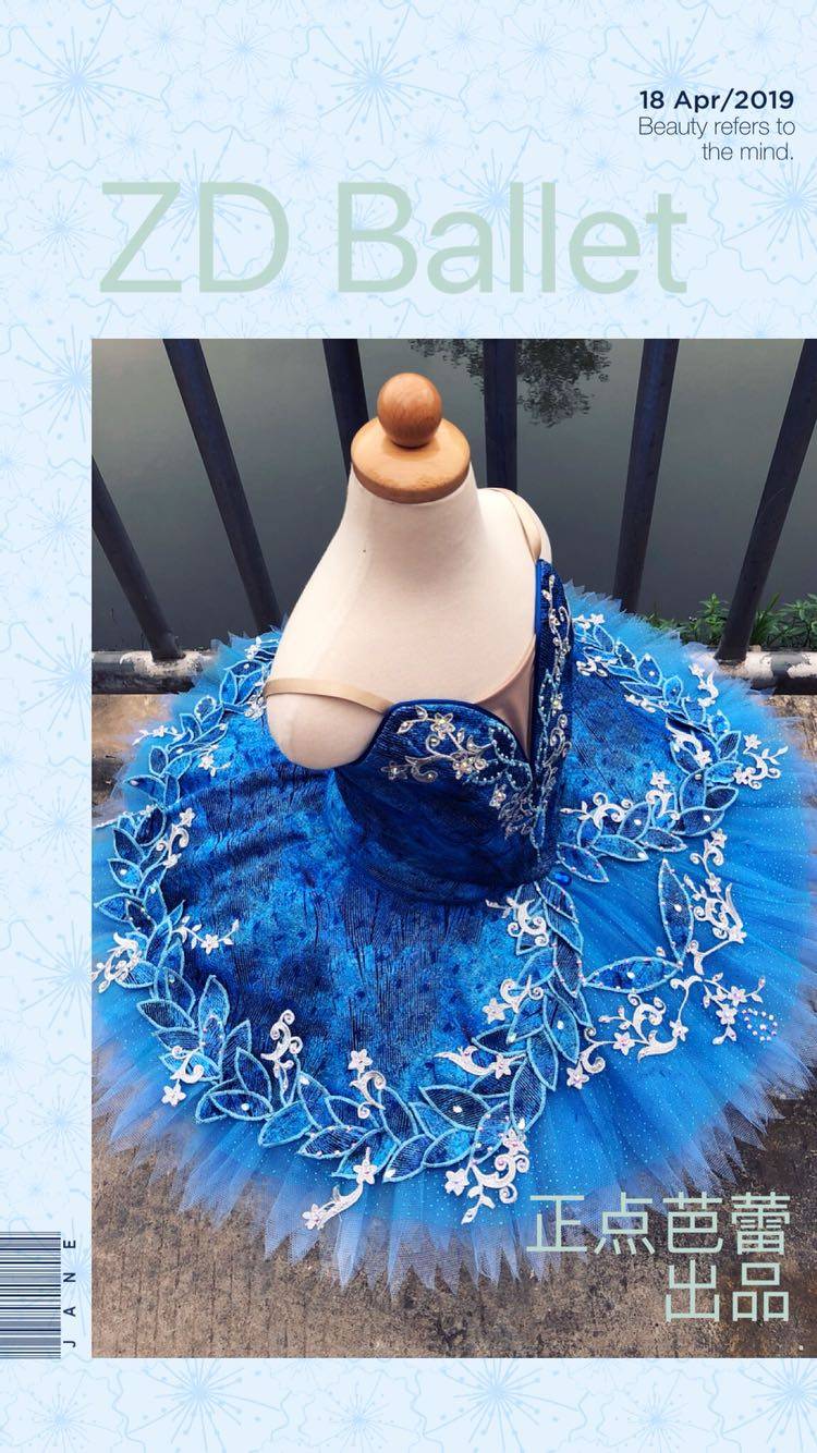 Positive Point Ballet Out professional Two style ballet Tutu new bluebird and other performance disc dress tailor-made