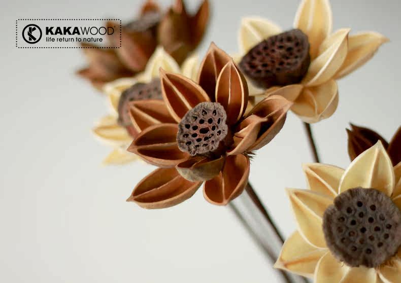 kakawood�ؾӼҾ���װ��Ʒ�ɿ���ɫ