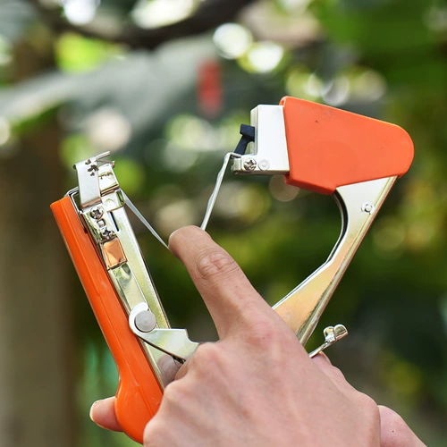 真情 Новые ветви томата связали огурцы огурцы ветви виноградные галстуки Kiwi Machine