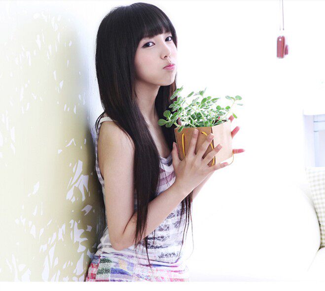 Extension cheveux - Ref 226000 Image 30